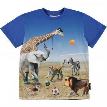 Molo Футболка Roxo Football Game (синий)