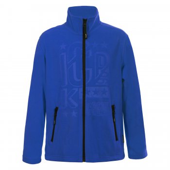 Флисовая кофта Rob (синий с рисунком) 46506 Icepeak 8 51833 596 347 