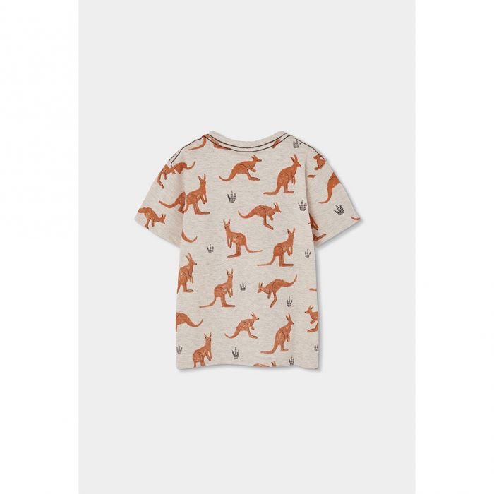 Футболка (разноцветный)