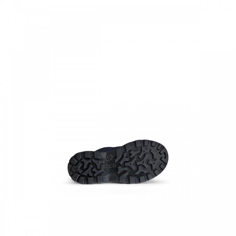 Фото 9 Ботинки Ecco SNOW MOUNTAIN c мембраной Gore-Tex (черный с синим) 136488 Ecco 710332-61379