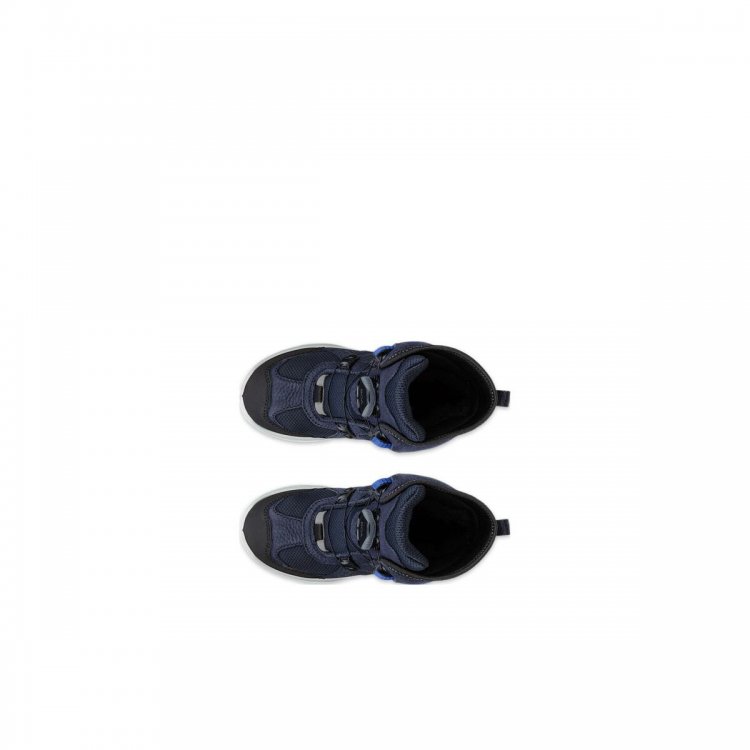 Фото 3 Ботинки Ecco SNOW MOUNTAIN c мембраной Gore-Tex (черный с синим) 136488 Ecco 710332-61379