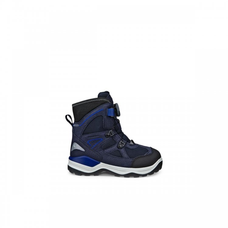 Фото 6 Ботинки Ecco SNOW MOUNTAIN c мембраной Gore-Tex (черный с синим) 136499 Ecco 710333-61379