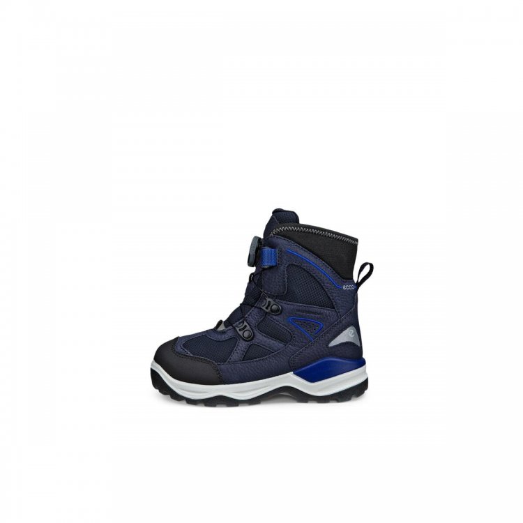 Фото 7 Ботинки Ecco SNOW MOUNTAIN c мембраной Gore-Tex (черный с синим) 136499 Ecco 710333-61379