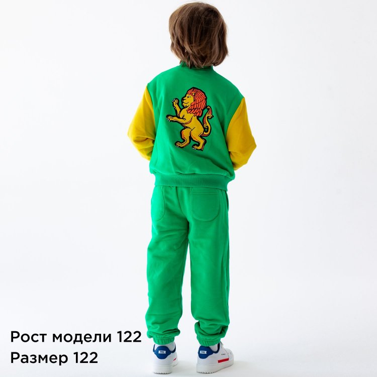 Комплект с вышивкой на спине: бомбер + брюки (зеленый со львом) 119134 Miagia C13-SU20-29 