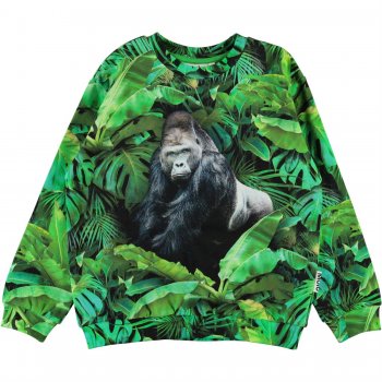 Molo Толстовка Miksi Jungle Gorilla (горилла)