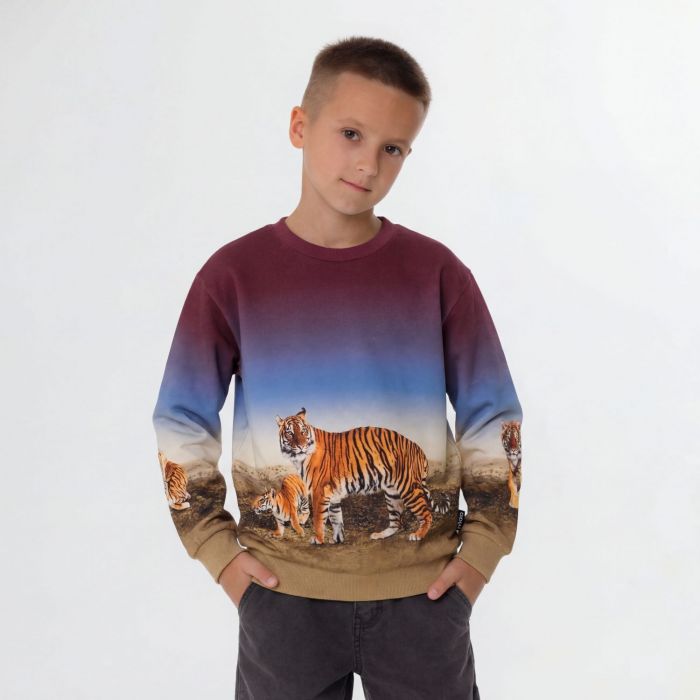 Свитшот Miksi Bengal Tiger (бенгальский тигр)