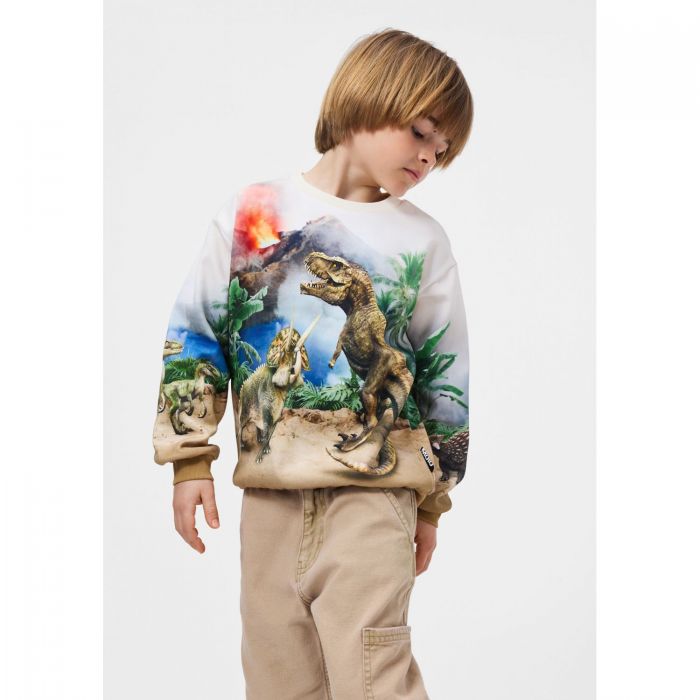 Свитшот Miksi Hot Spring Dinos (динозавры)