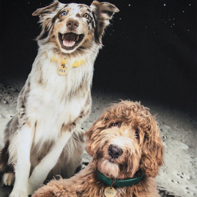 Фото 4 Лонгслив Reif Moon Friends (собаки на луне) 133160 Molo 1W25A403-9614