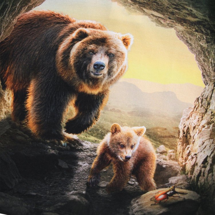 Фото 2 Лонгслив Reif Bears in Cave (медведи в пещере) 133025 Molo 1W25A403-9641