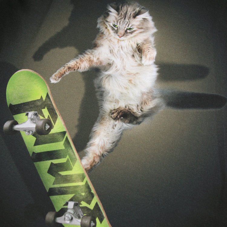 Фото 3 Лонгслив Rube Skate Cat (кот на скейте) 132822 Molo 1W25A404-4985