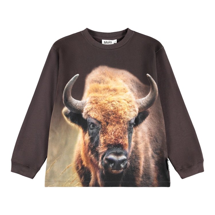 Molo Лонгслив Rube Bison Encounter (с бизоном)