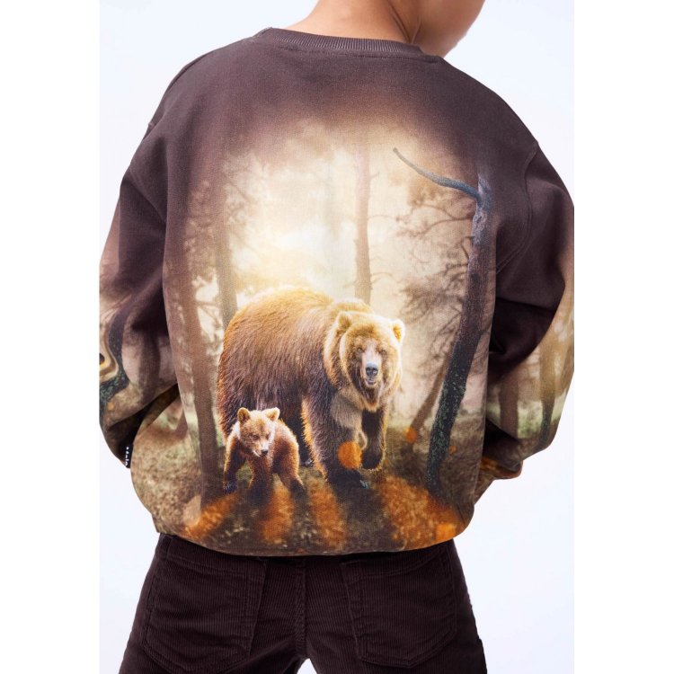 Фото 3 Толстовка Mattis Honey Bears (с медведями) 133019 Molo 1W25J203-9657