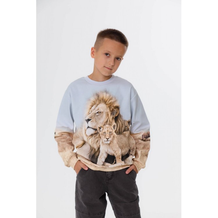 Фото 2 Толстовка Miksi Leo Family (львы) 132816 Molo 1W25J209-9656