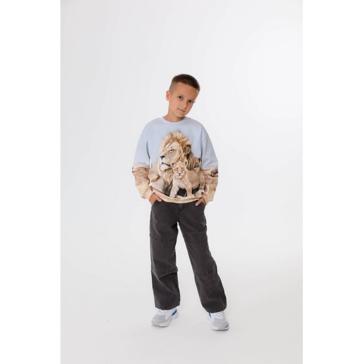 Фото 4 Толстовка Miksi Leo Family (львы) 132816 Molo 1W25J209-9656