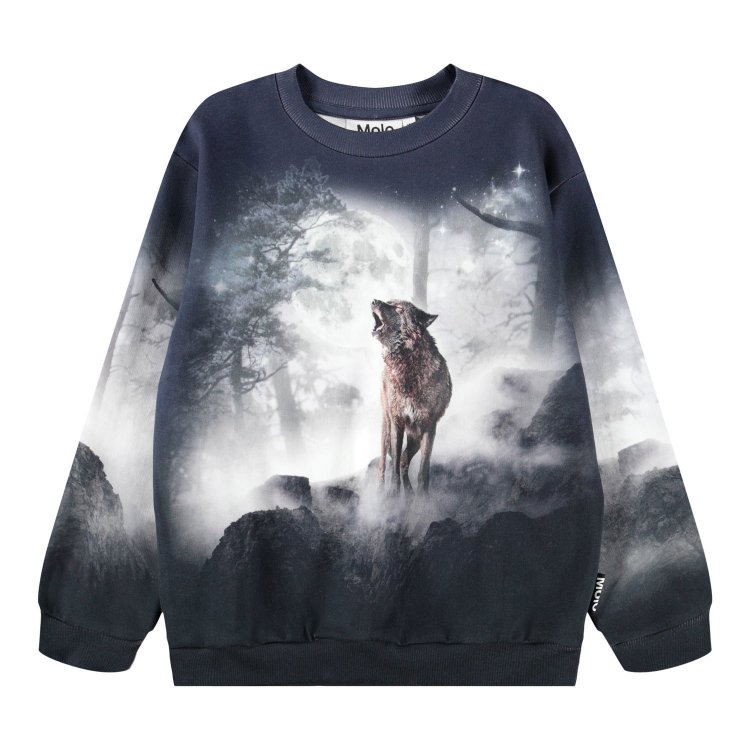 Molo Толстовка Miksi Moonlit Wolves (с волком)