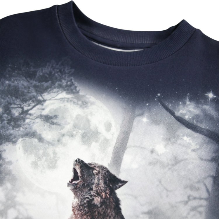 Фото 3 Толстовка Miksi Moonlit Wolves (с волком) 133193 Molo 1W25J209-9717
