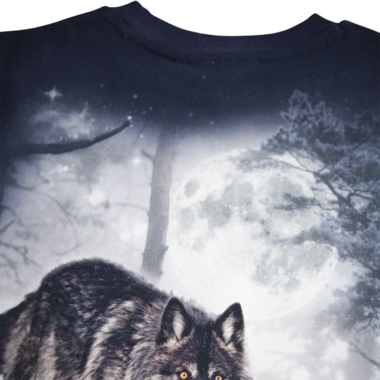Фото 4 Толстовка Miksi Moonlit Wolves (с волком) 133193 Molo 1W25J209-9717