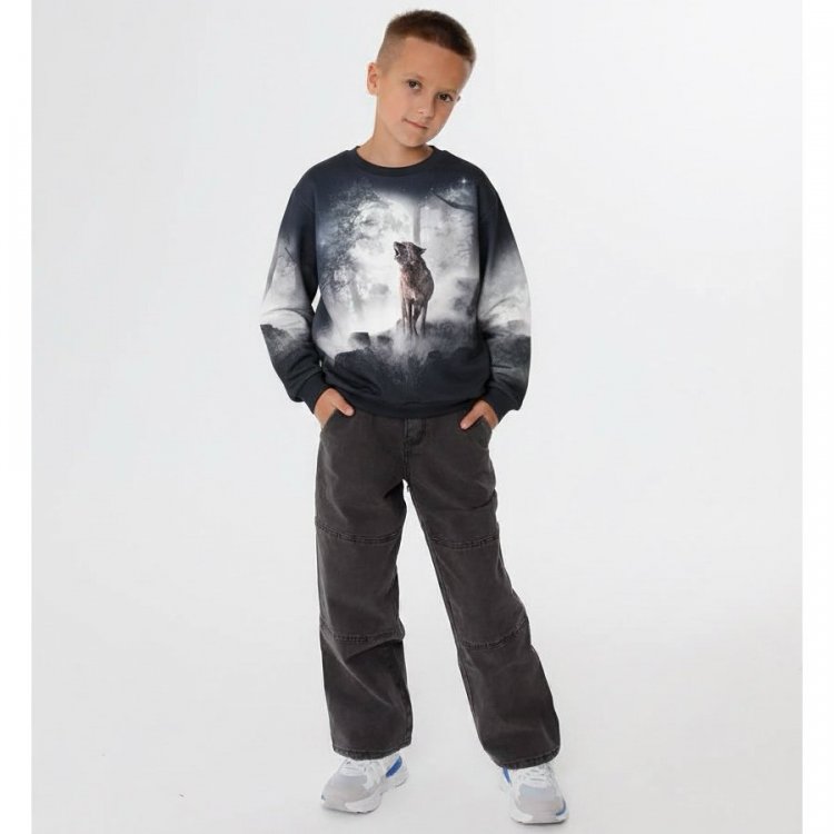 Толстовка Miksi Moonlit Wolves (с волком) 133193 Molo 1W25J209-9717 