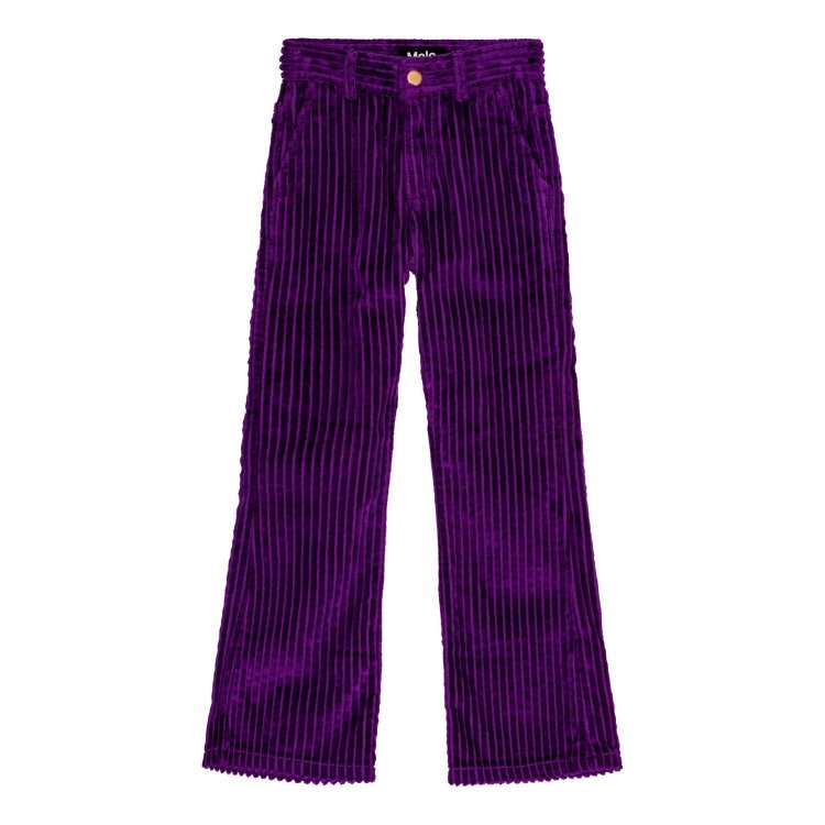 Фото 3 Брюки вельветовые Aida Warm Purple (фиолетовый) 120973 Molo 2W24I106-8967