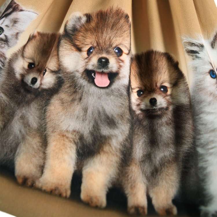 Фото 3 Платье Casie Warm Fluffiness (бежевый) 133216 Molo 2W25E218-9606