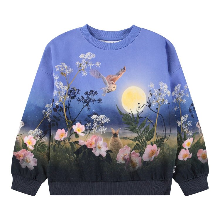 Molo Толстовка Maxi Magic Moonrise (разноцветный)