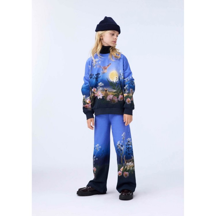 Molo Толстовка Maxi Magic Moonrise (разноцветный)