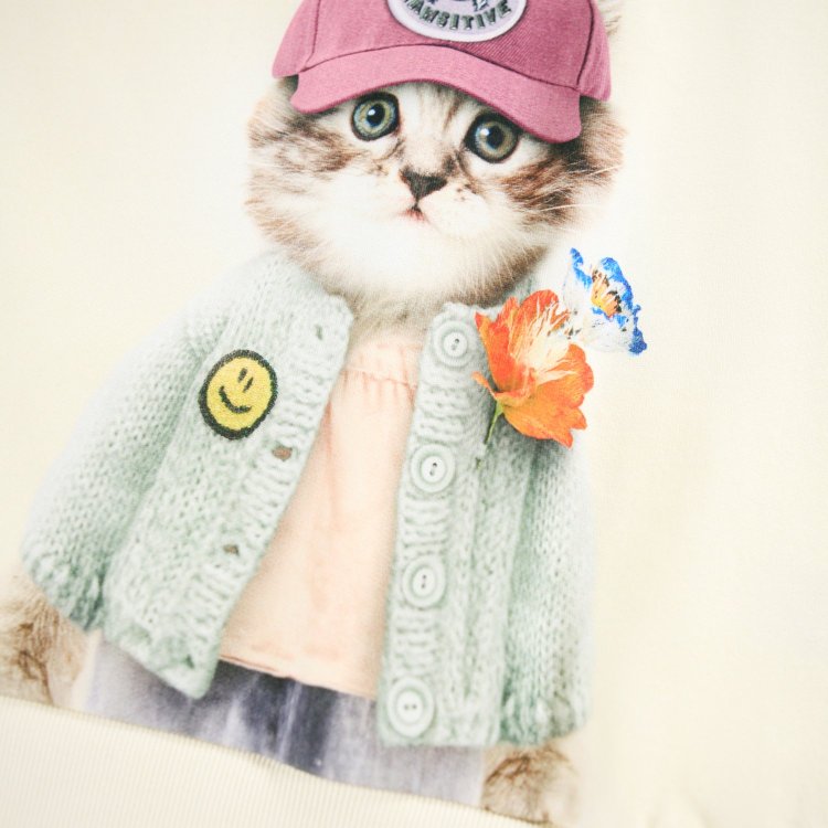 Фото 4 Толстовка Maxi Kitty Miauu (с котом) 132912 Molo 2W25J211-9730