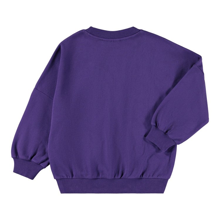Фото 3 Толстовка Marika Sparkle Space (фиолетовый) 133268 Molo 2W25J214-9662