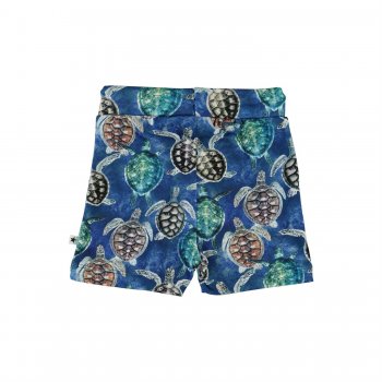Фото 2 Плавательные шорты Simroy Mini Turtles (сине-серый) 62071 Molo 3S21H103 6241