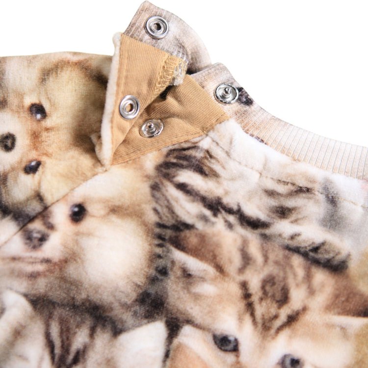 Фото 4 Толстовка Disc Fuzzy Fluffy (животные) 133289 Molo 4W25J203-9377