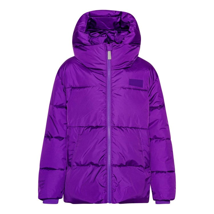 Фото 3 Куртки Hilo Warm Purple (фиолетовый) 121418 Molo 5W24M307-8967