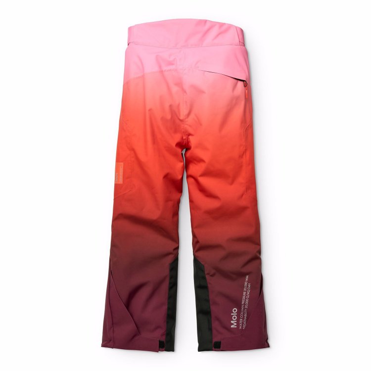 Фото 2 Брюки Molo Jump Pro Fiery Red (красный) 133520 Molo 5W25I101-4945