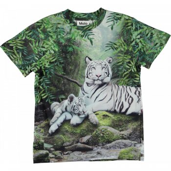 Molo Футболка Roxo Summer Tiger (зеленый с тигром)
