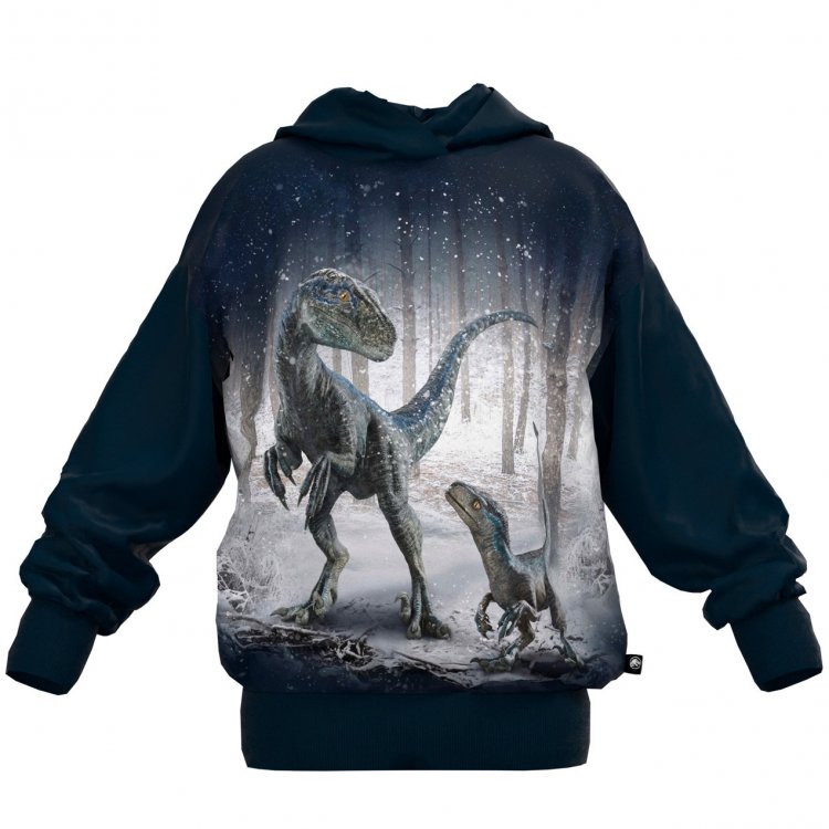 Molo Толстовка с капюшоном Matty Blue & Beta (динозавры в зимнем лесу)