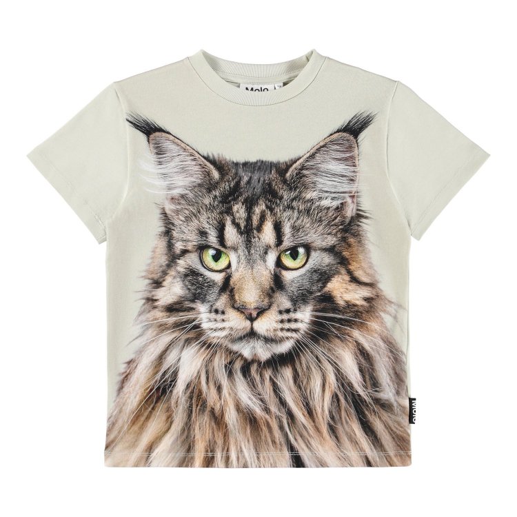 Фото 2 Футболка Roxo Cat (с котом) 132797 Molo 6W25A206-9654