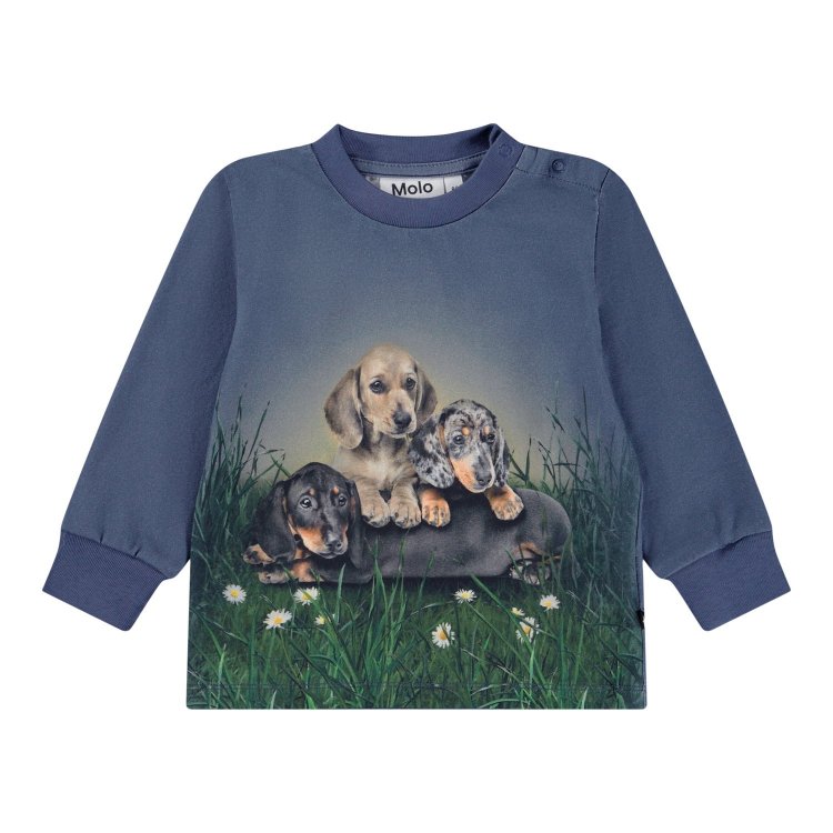 Molo Лонгслив Eloy Dachshund Cubs (темно-синий)