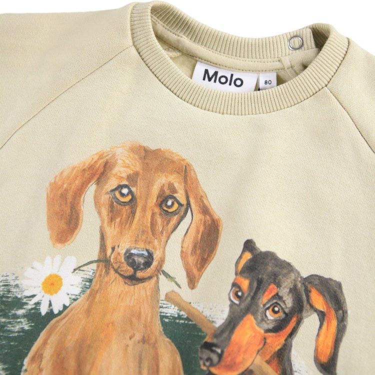 Фото 3 Толстовка Disc Doggy Portrait (с собачками) 133283 Molo 6W25J202-9634
