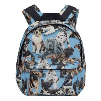 Molo Рюкзак для дошкольников Pups (голубой с щенками)