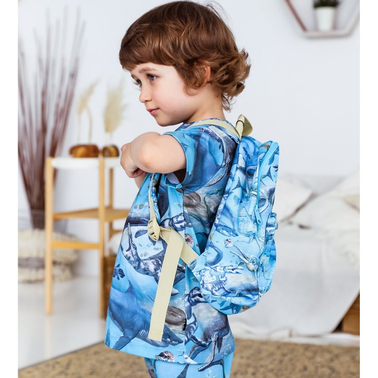 Фото 6 Рюкзак Molo для дошкольников Backpack Ancient Seas (голубой) 103614 Molo 7S23V205 6769