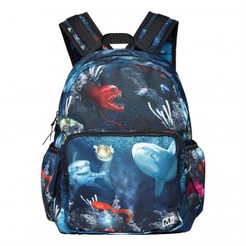 Molo Рюкзак для школьников и подростков Big Backpack Deep Sea (синий с рыбами)