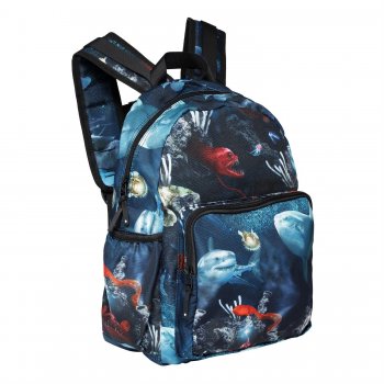Фото 2 Рюкзак Big для школьников и подростков Deep Sea (синий с рыбами) 73013 Molo 7W21V202 6342