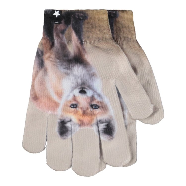 Фото 3 Комплект: Шапка Molo  + перчатки Kaya Fox Cubs (лисы) 133948 Molo 7W25S901-9672