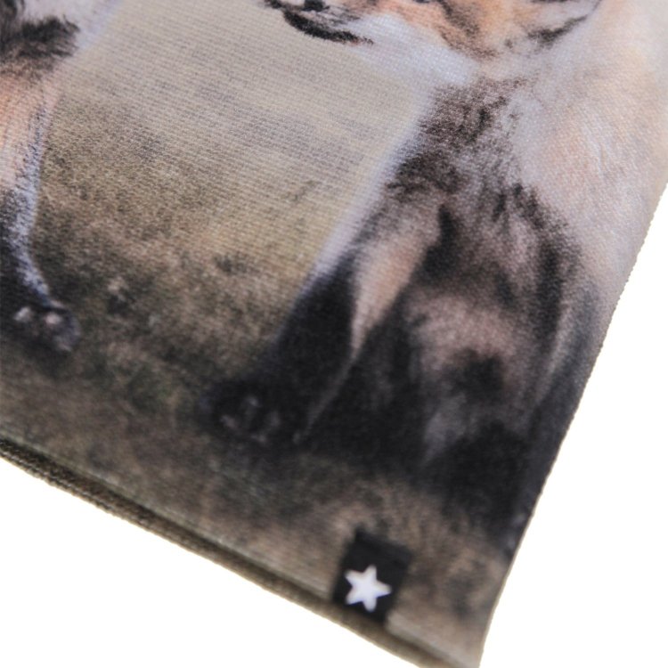 Фото 4 Комплект: Шапка Molo  + перчатки Kaya Fox Cubs (лисы) 133948 Molo 7W25S901-9672