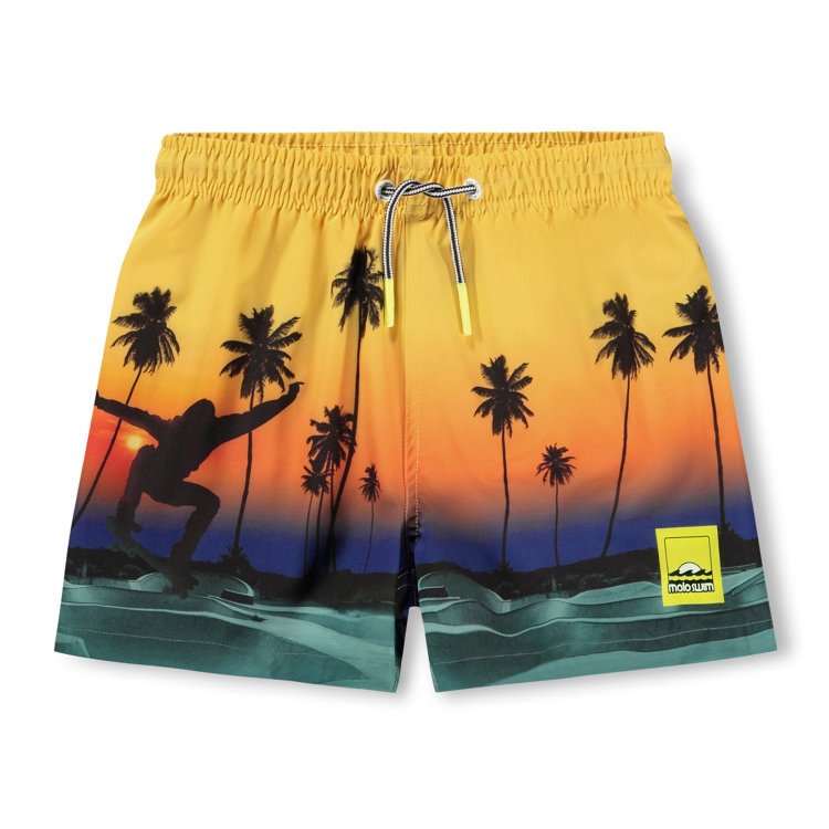 Шорты для плавания Niko Sunset Skate (скейт на закате)