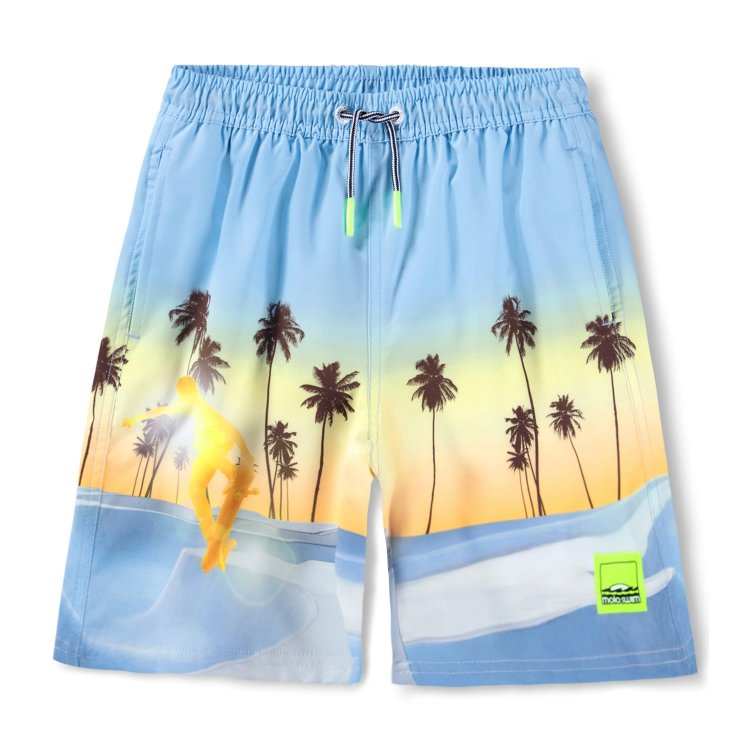 Шорты для плавания Nilson Sunrise Skate (скейт на закате)