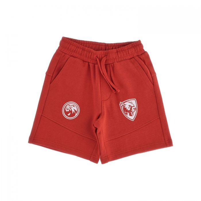 Шорты (красный)