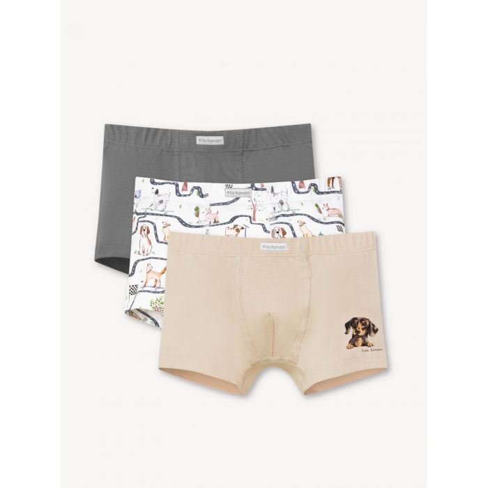 Комплект: 3 боксеров PRETTY FRIENDS (такса)