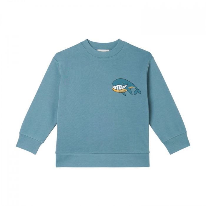 Свитшот (голубой)