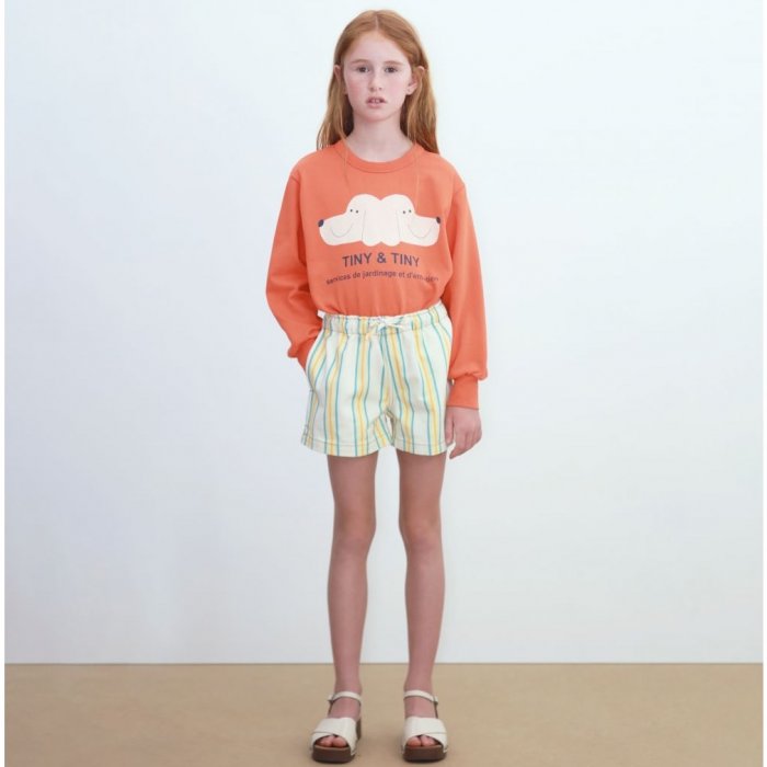 Свитшот (оранжевый)